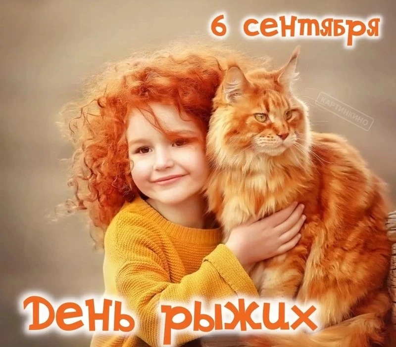 🍊 Сегодня самый яркий день осени — Всемирный день рыжих!