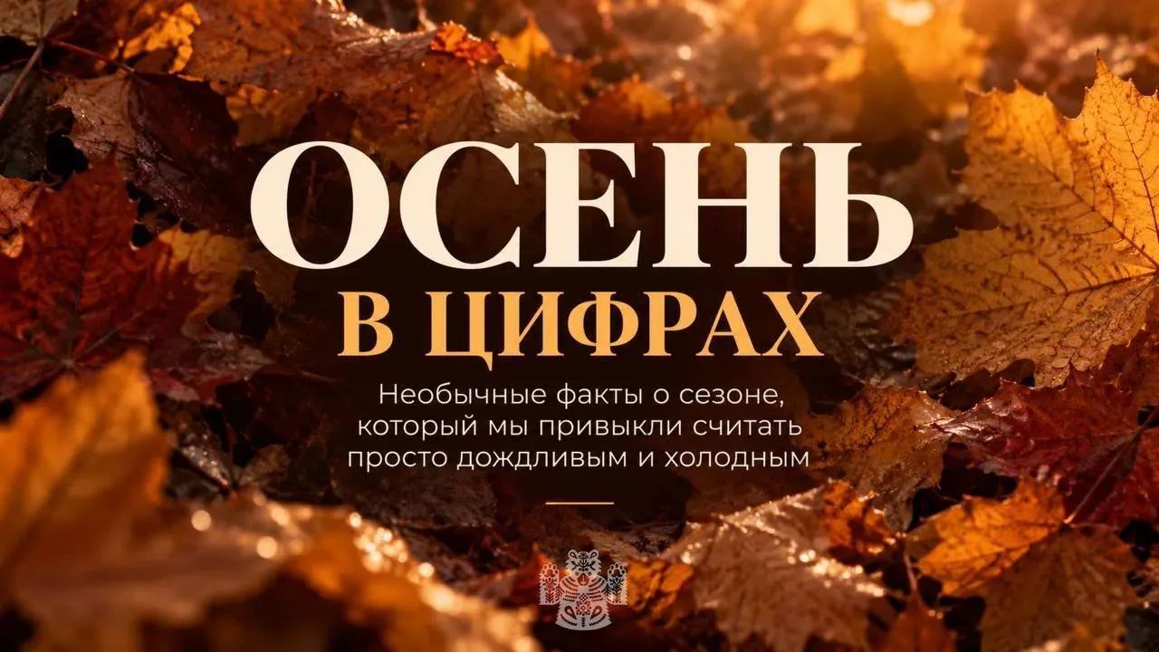 ​🍂 Осень уже вступила в свои права — собрали несколько любопытных фактов о самом ярком...