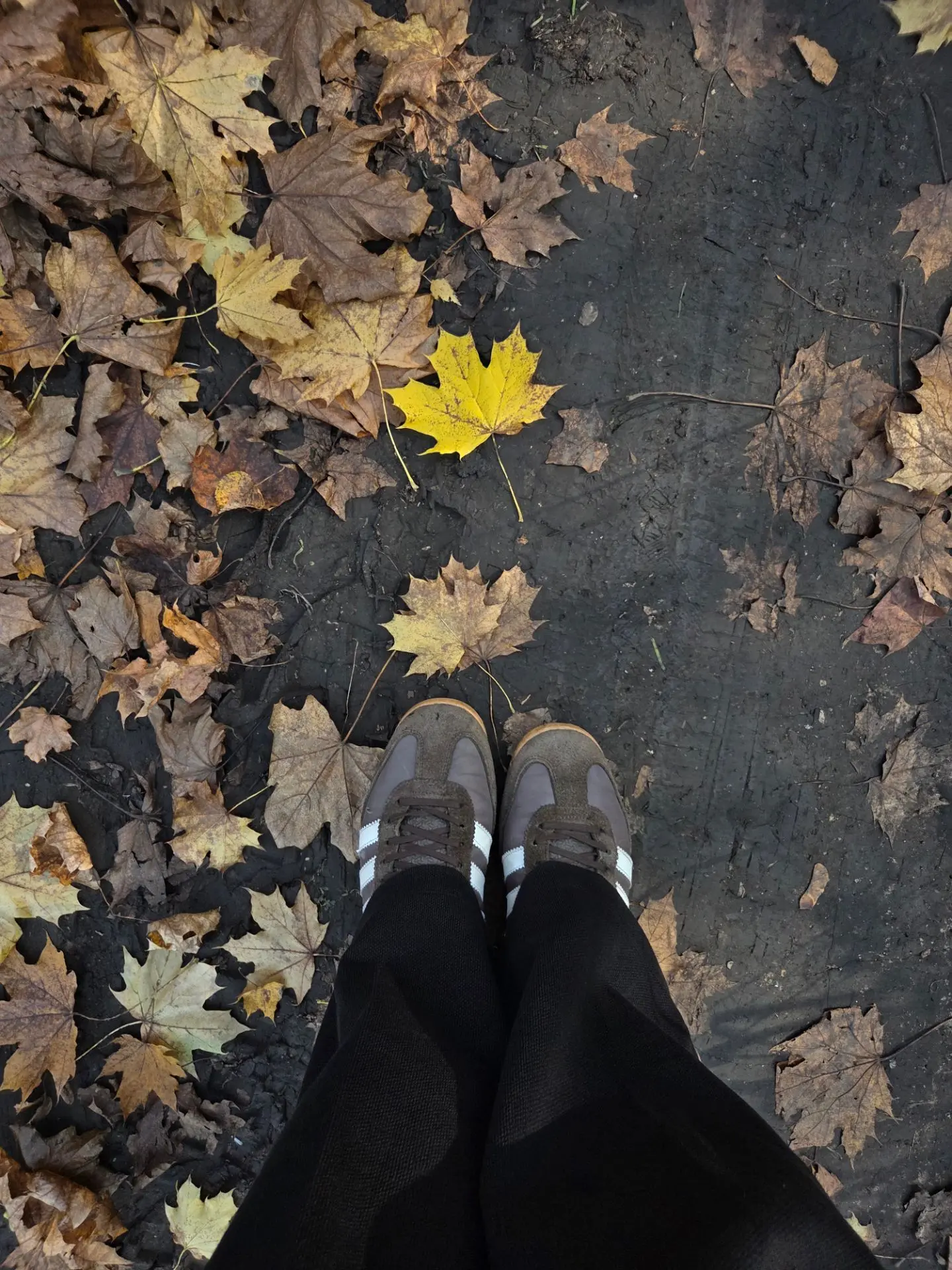 Настолько красивое время года!🍁