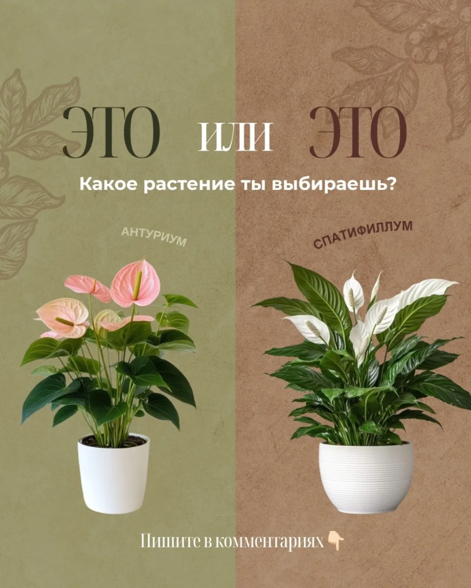 А какое растение выбрали бы вы? 😍