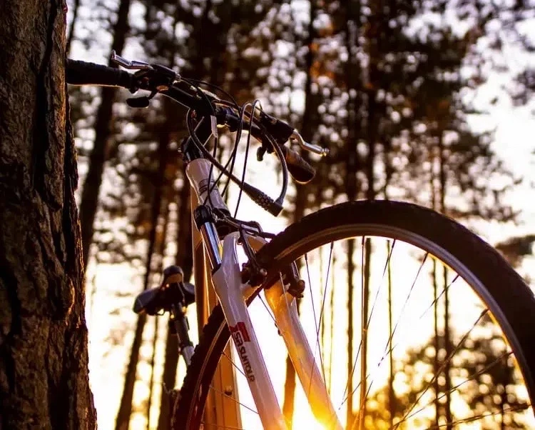 🚴🏻‍♂️ БЕСПЛАТНЫЙ ПРОКАТ ВЕЛОСИПЕДОВ ДЛЯ ЧЛЕНОВ ПРОФСОЮЗА