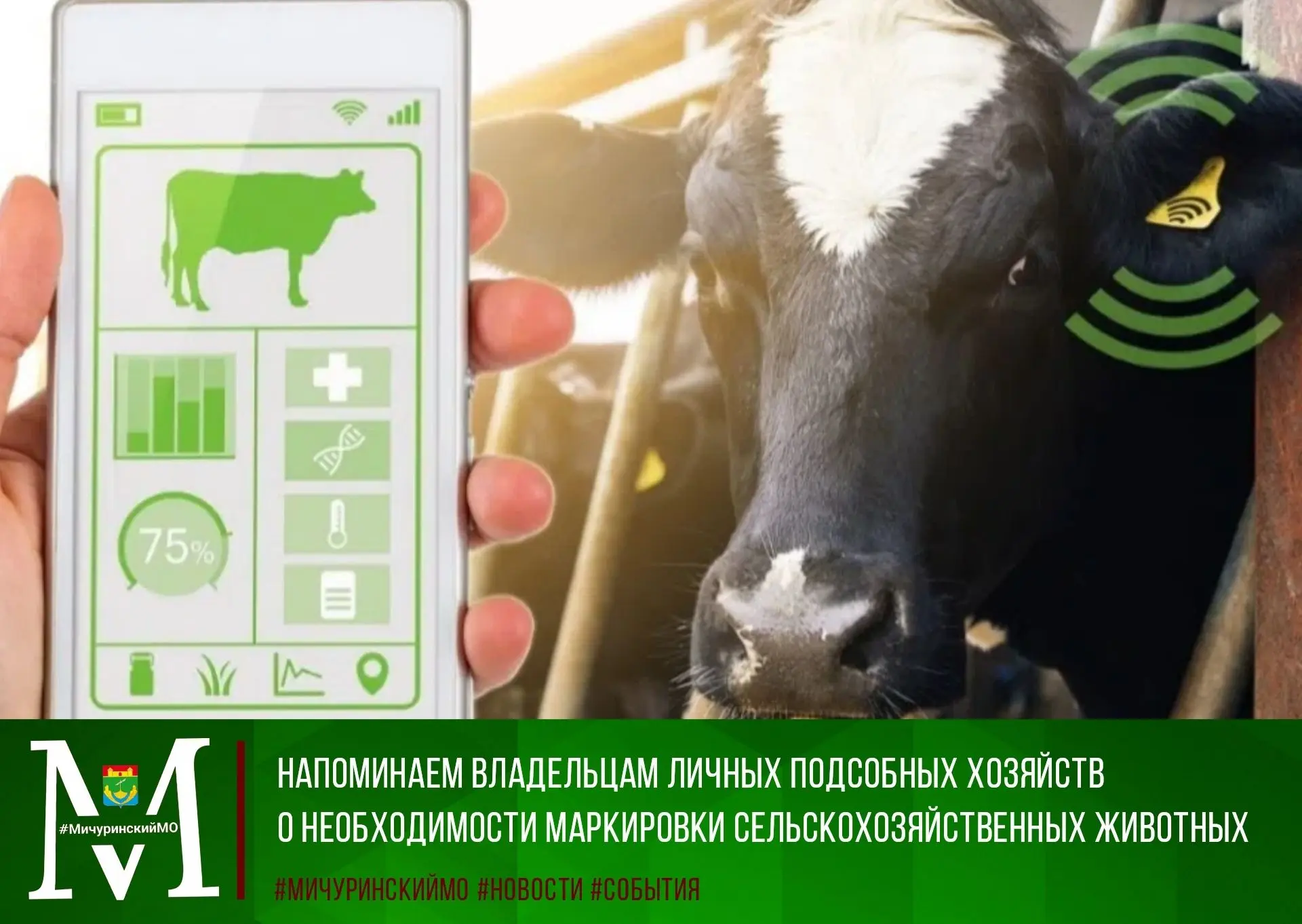 📣Уважаемые владельцы личных подсобных хозяйств Мичуринского округа! Напоминаем о требо...