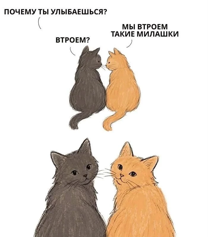 #ТвояДирекция