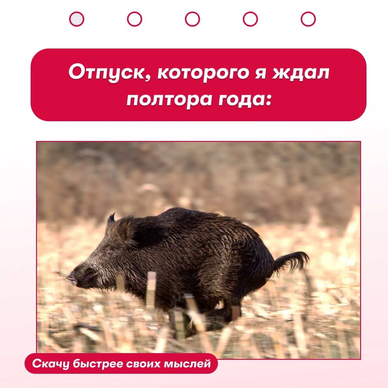 Говорят, рабочую неделю, которая начинается со вторника, лучше начинать с мемов…🙂