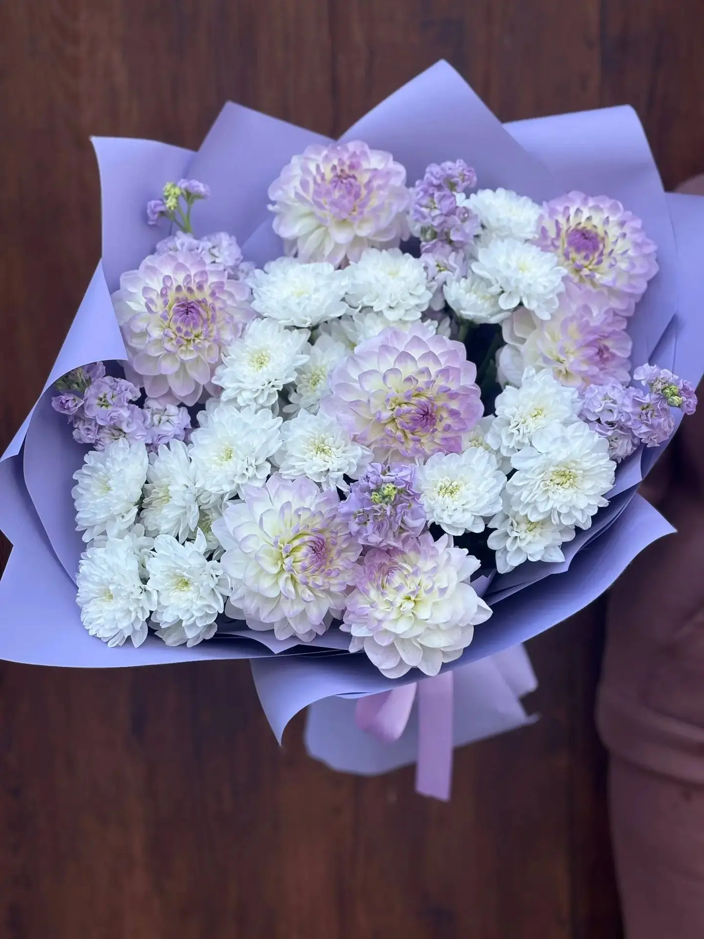 Георгины — любовь с первого взгляда 🌸