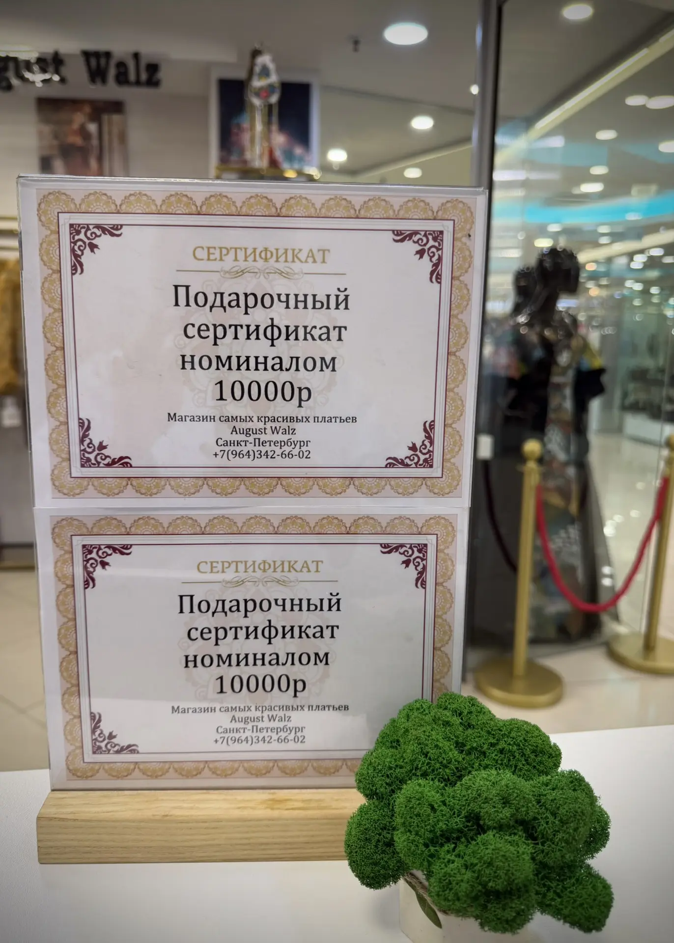 Подарите своим любимым возможность почувствовать себя особенными!