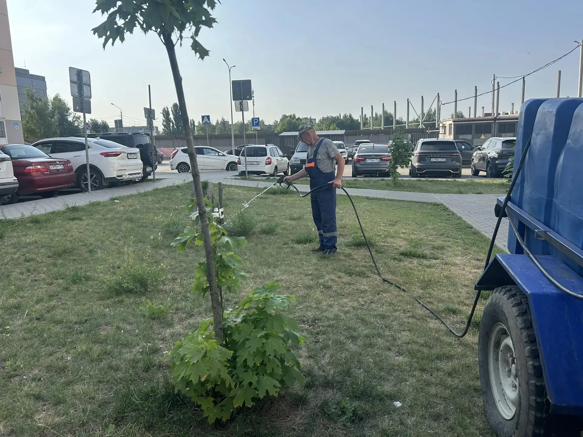ПОЛИВ ЦВЕТОВ И КУСТАРНИКОВ
