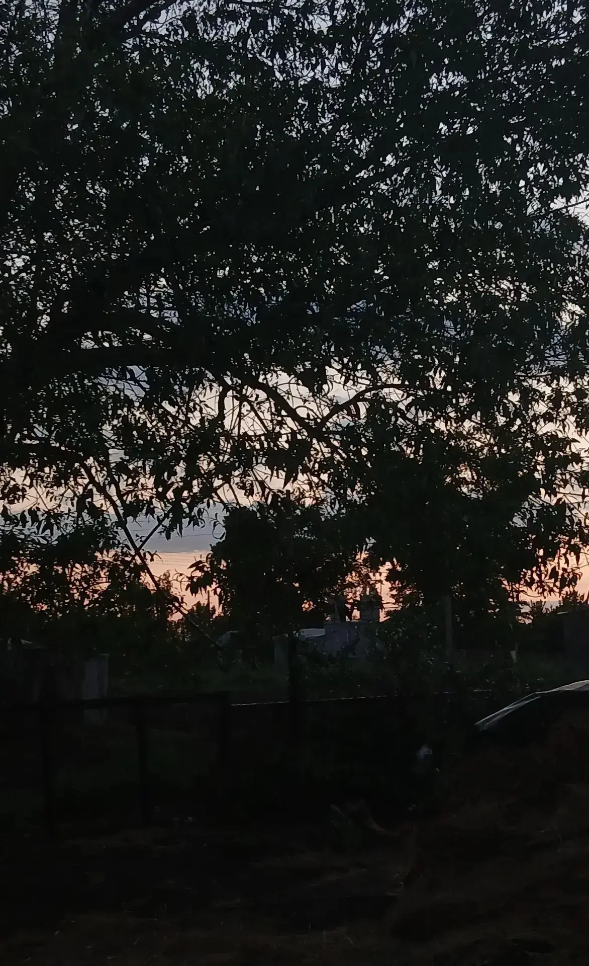 🌅 Красота вокруг нас 🌅