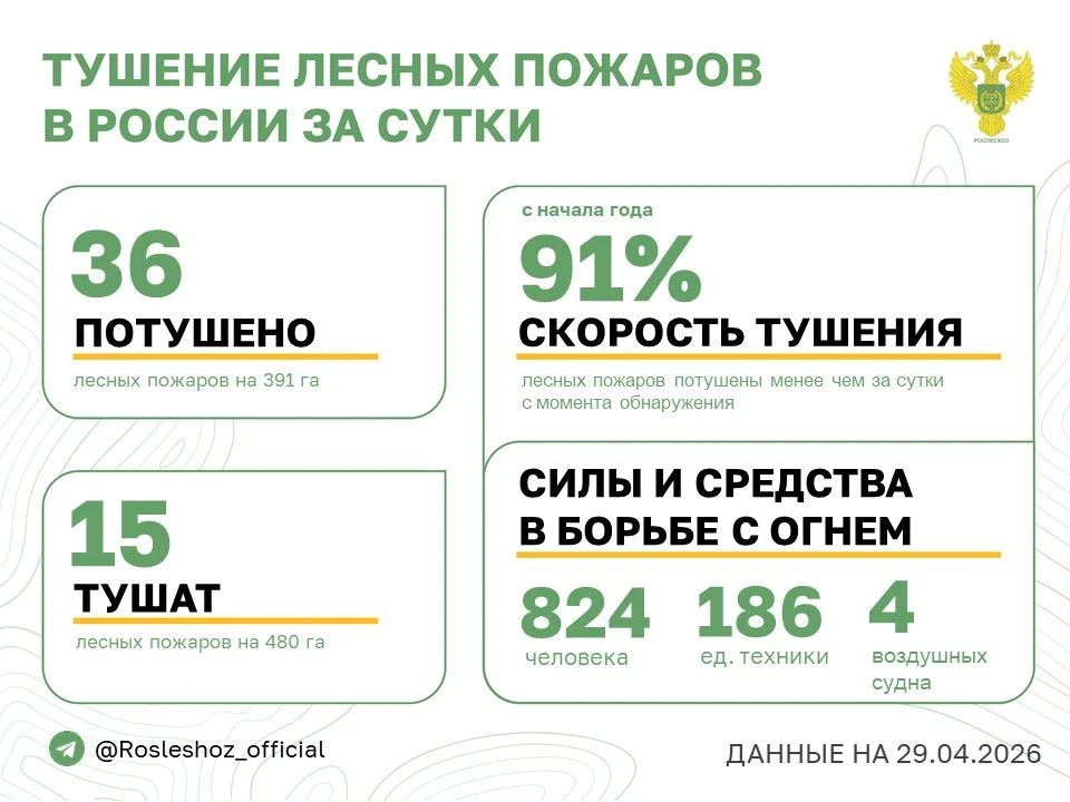 🟢 За прошедшие сутки в 16 регионах России потушили 36 лесных пожаров.