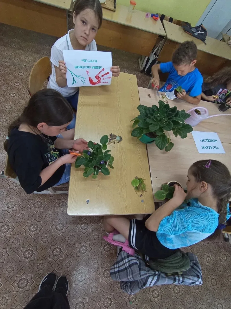 🌿🌞 Ещё один день в нашем зелёном раю! 🏕️

Сегодня в лагере дневного пребывания прошла настоящая э