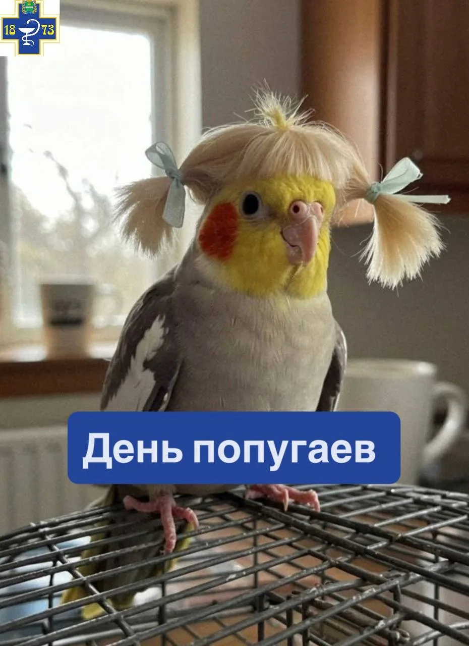 🦜31 мая – Всемирный день попугая!