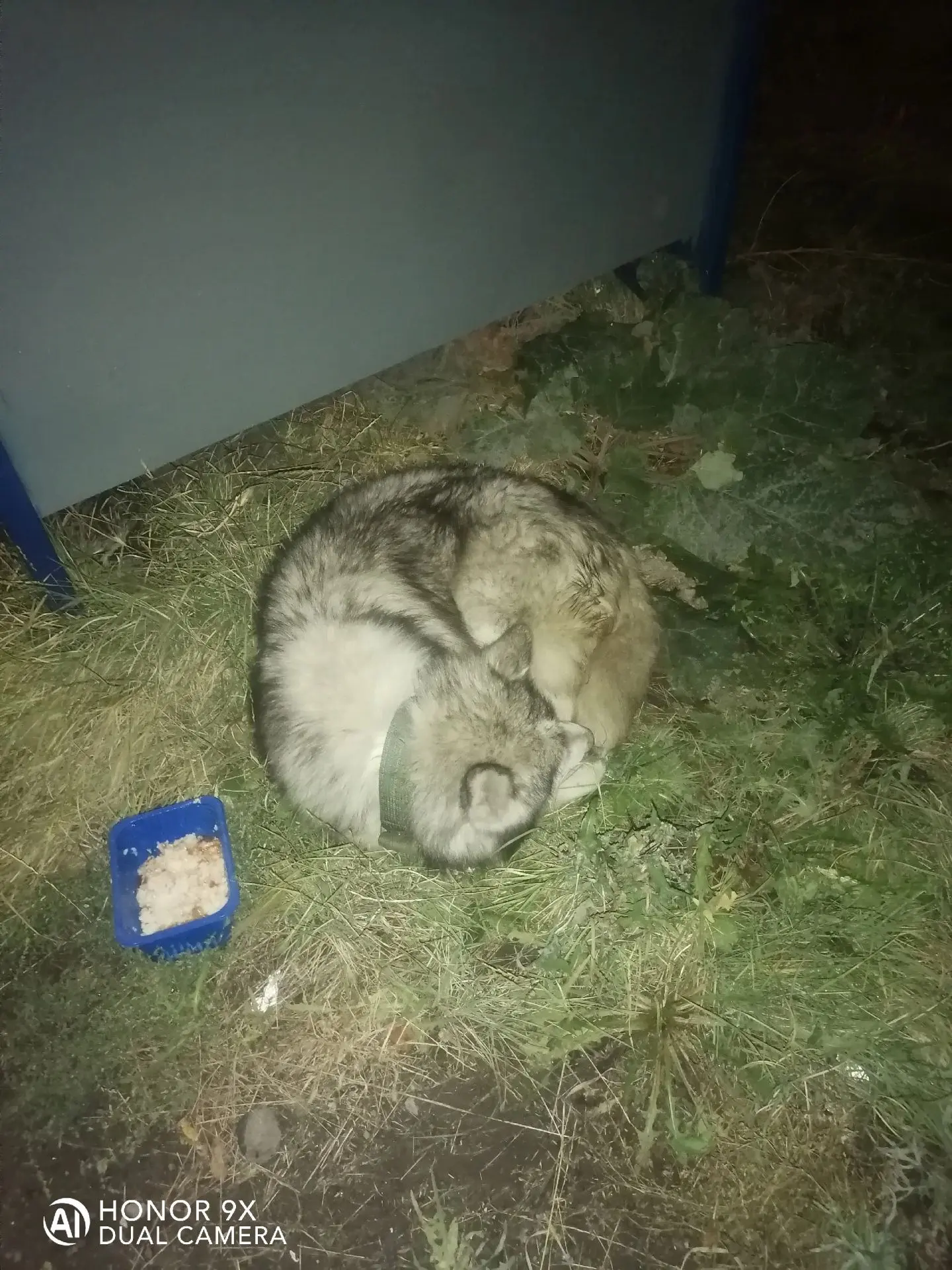 Доброго времени суток.