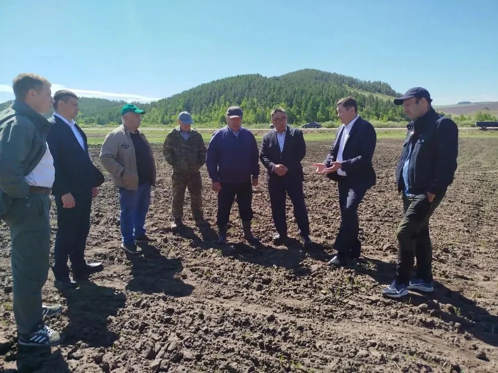 👀 Что ждёт сельхозпроизводителей на опытных полях Дня поля-2026

В этом году День поля пройдёт в ра