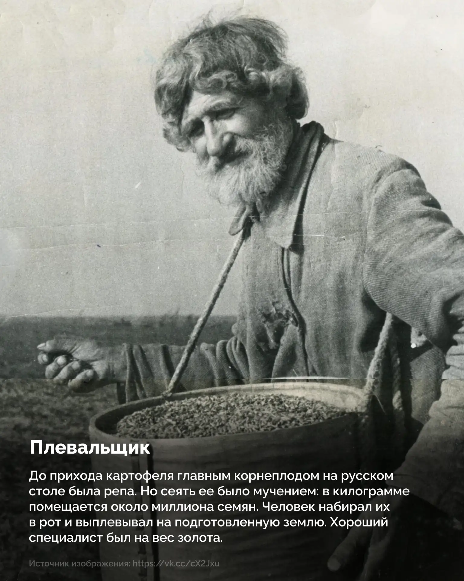 Целовальник, плевальщик и бурлак: профессии, которые мы потеряли 🤔  Еще 100–200 лет назад наши предк