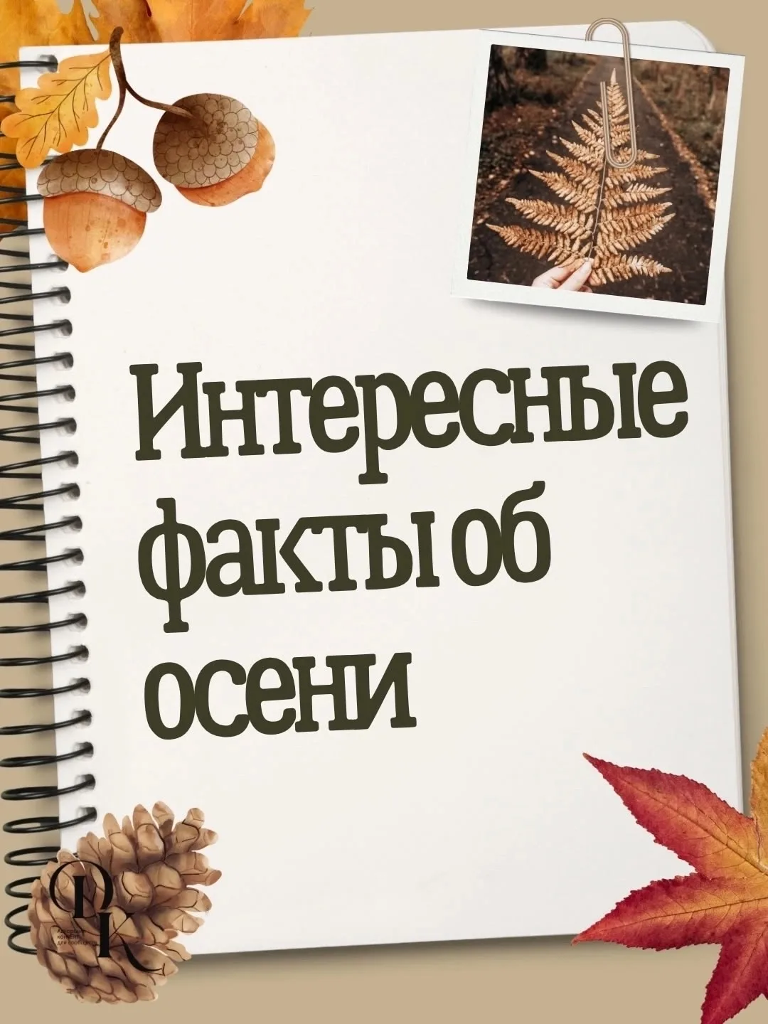 Тук,тук,тук…а вот и интересные #ФактыОтЛисы_113!🦊💡