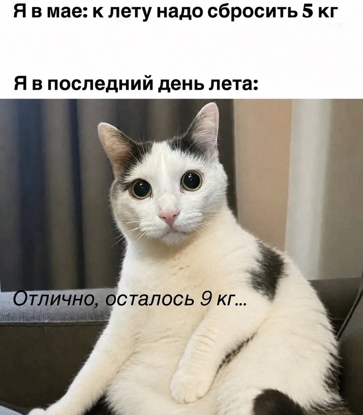 Дурилка картонная