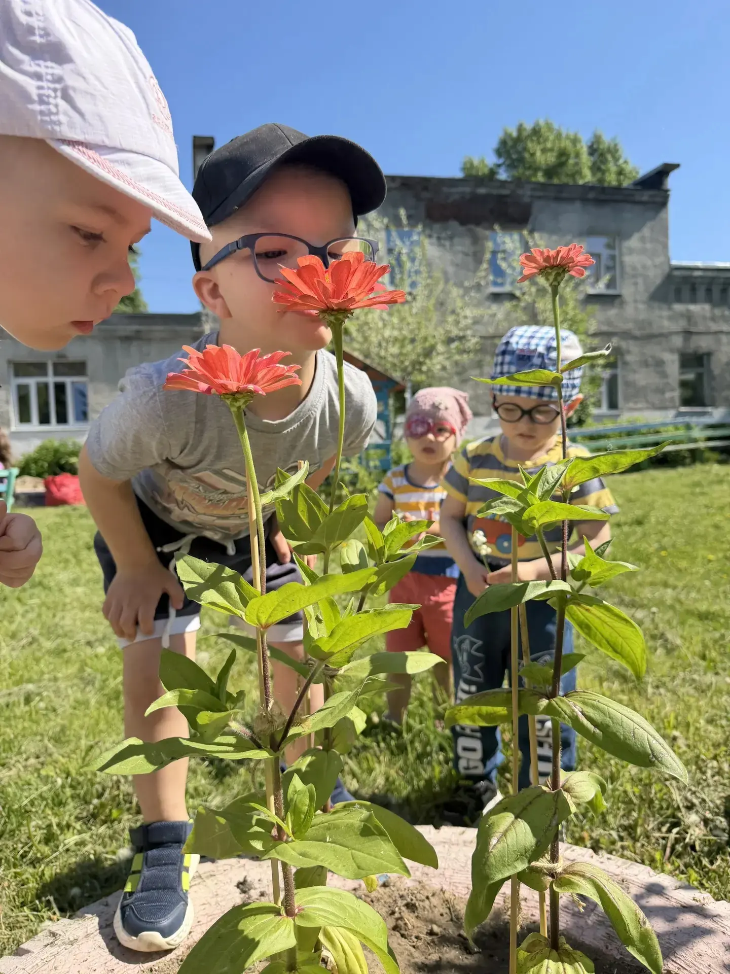 🌼Эти удивительные цветы и деревья🌼

Наконец пришло лето! 
А с наступлением тепла появляются весёлы
