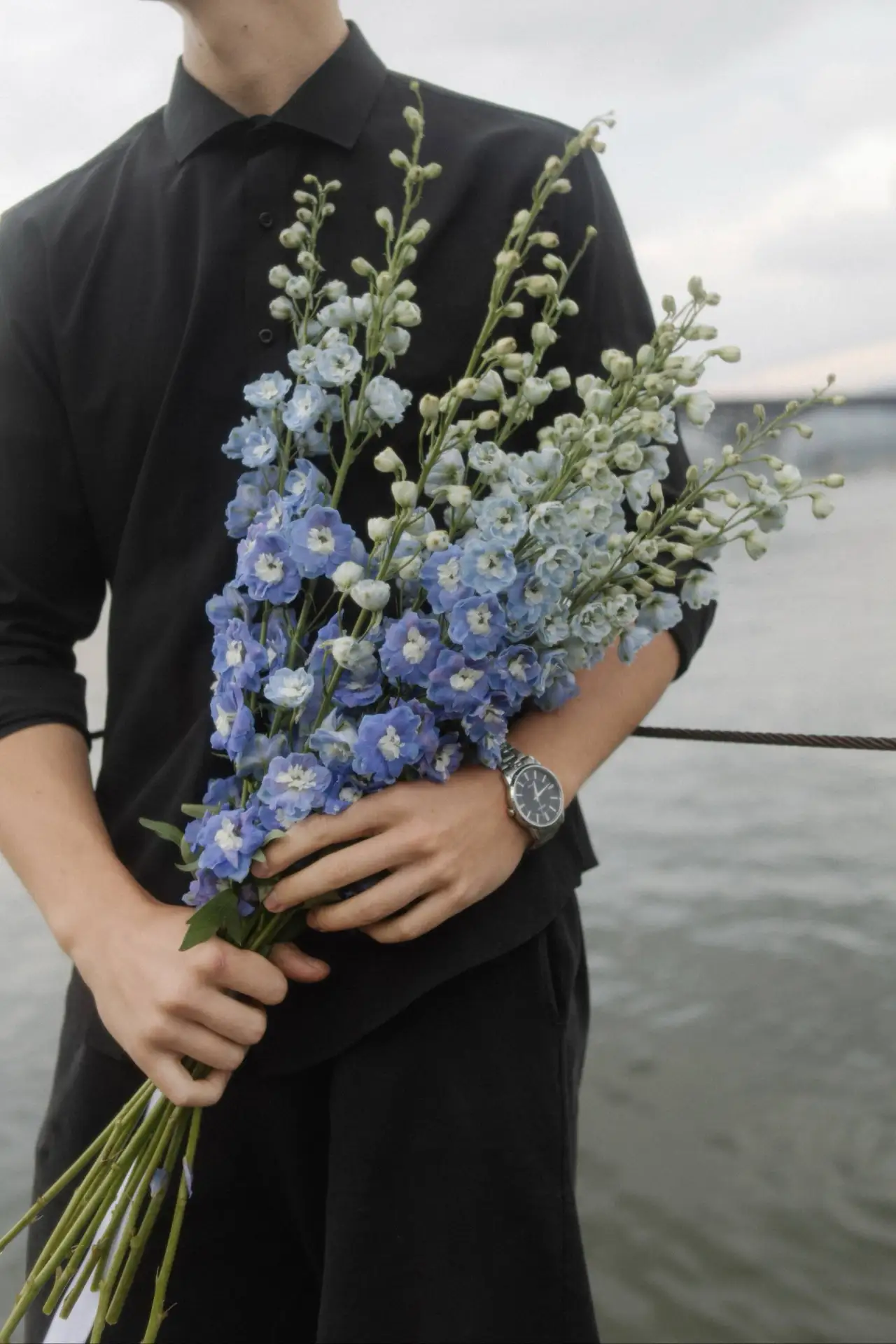 Необычные дельфиниумы 💙