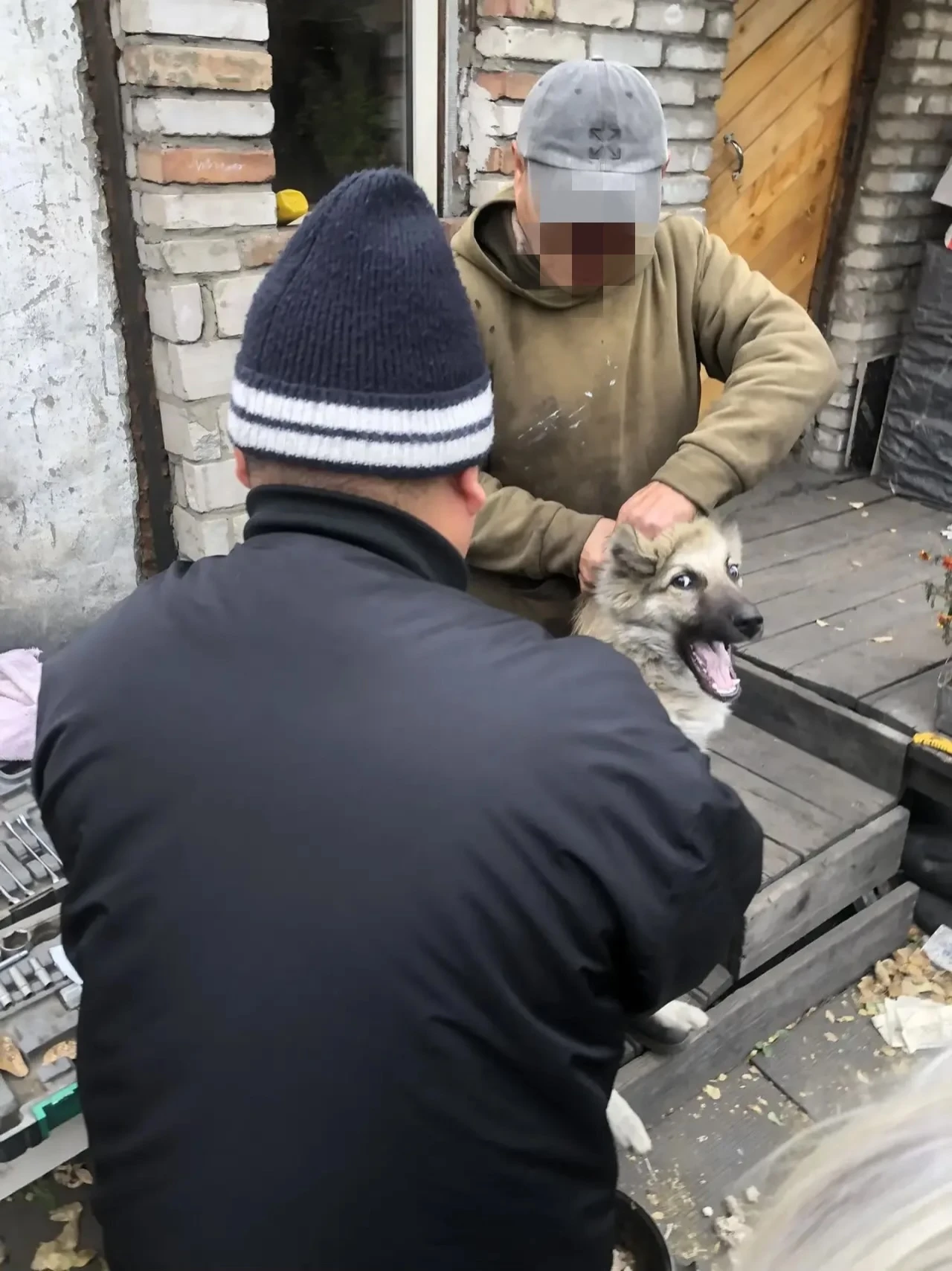 ⚡В Туве подвели итоги акции «Сообщи о нерадивом хозяине»