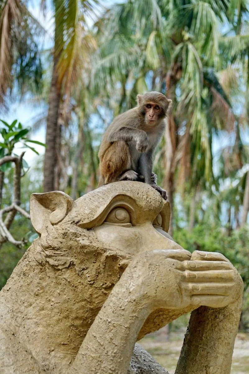 А вы когда-нибудь завтракали в компании мартышки? 🐒Рядом с Нячангом есть остров, где п...