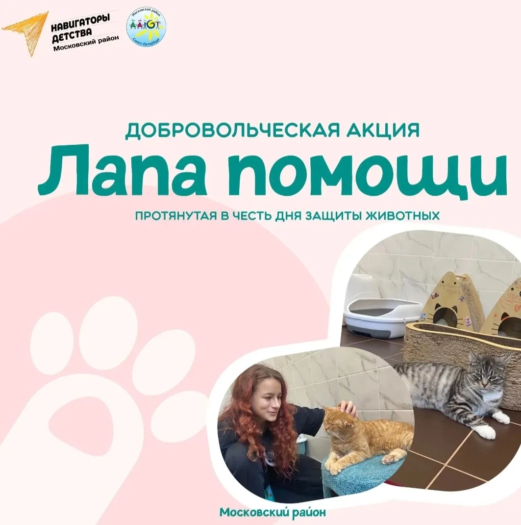 🧡Поможем бездомным животным вместе!