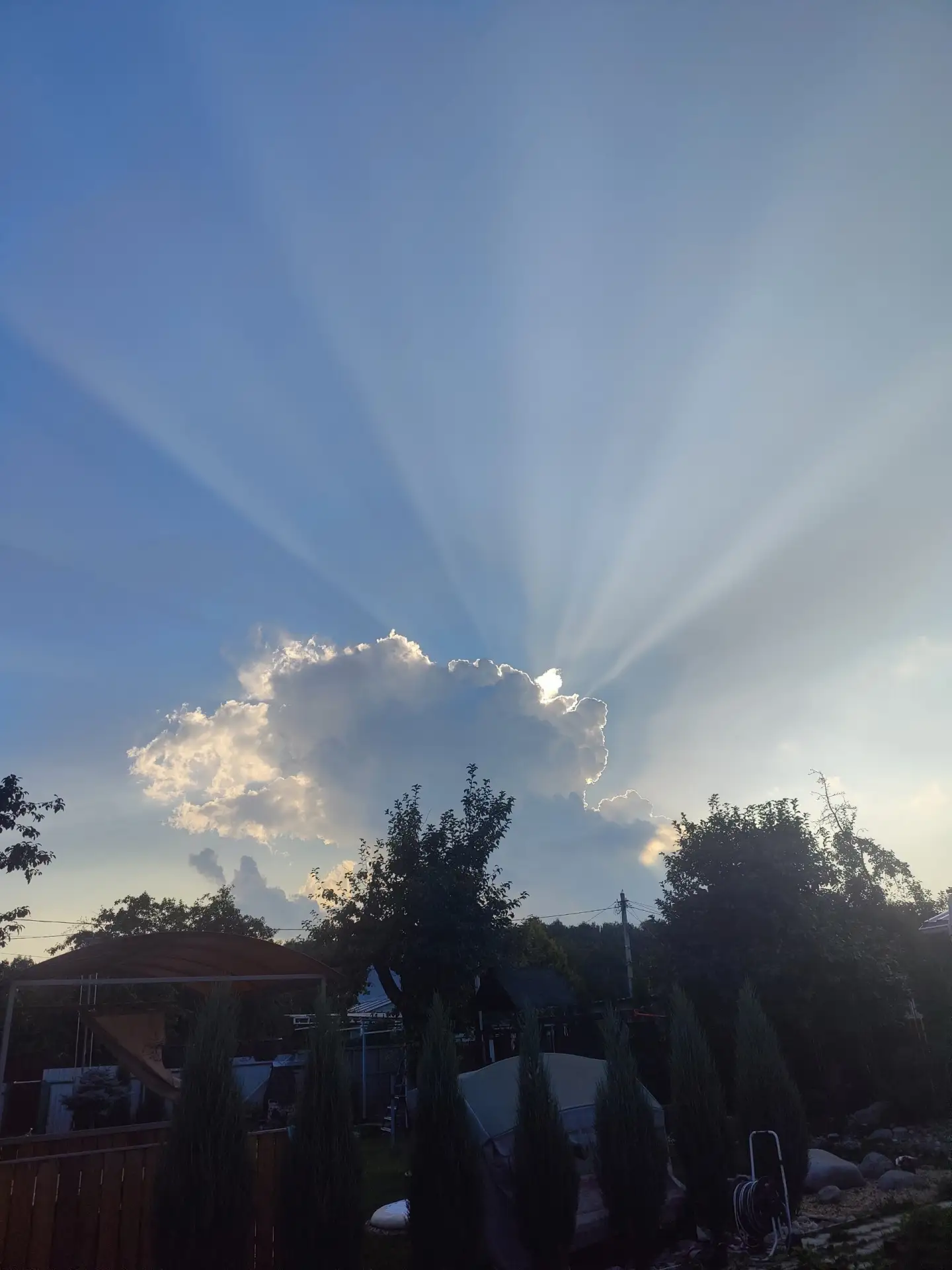 Посмотрите, какая красота 😍