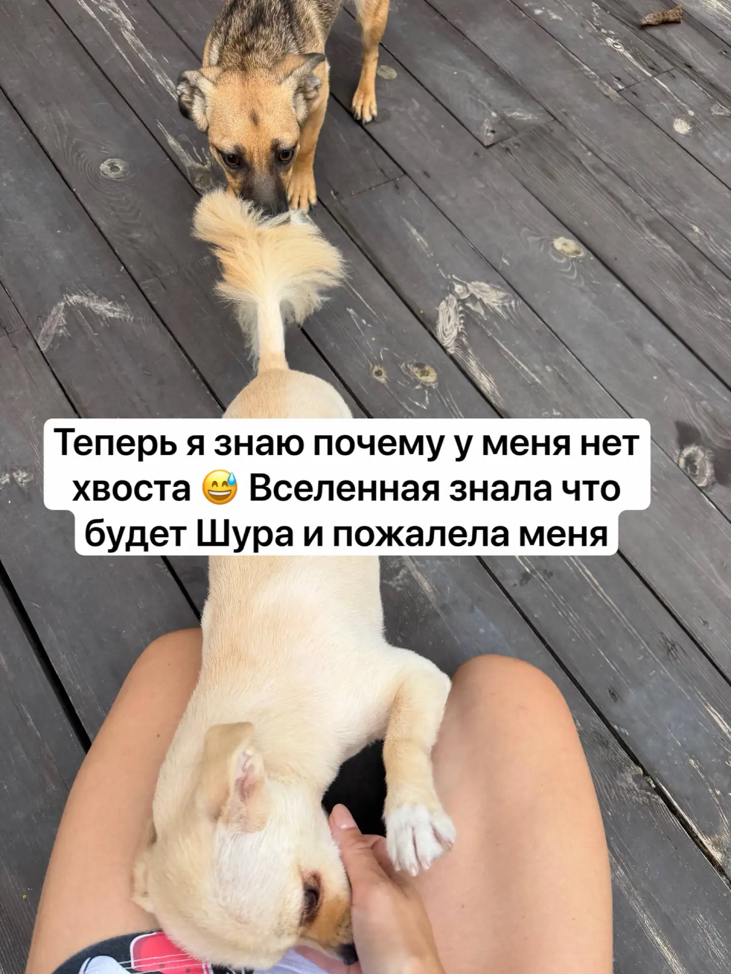 Доброе утро ))