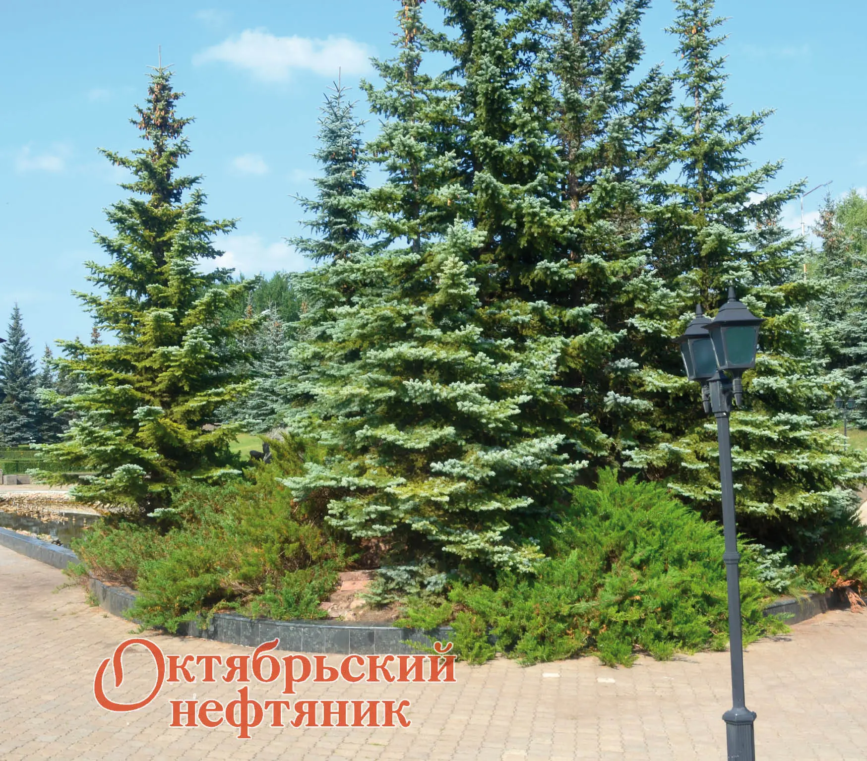 🌤️ 26 августа в Октябрьском малооблачно, температура днём +18…+19°, местами ожидается ...