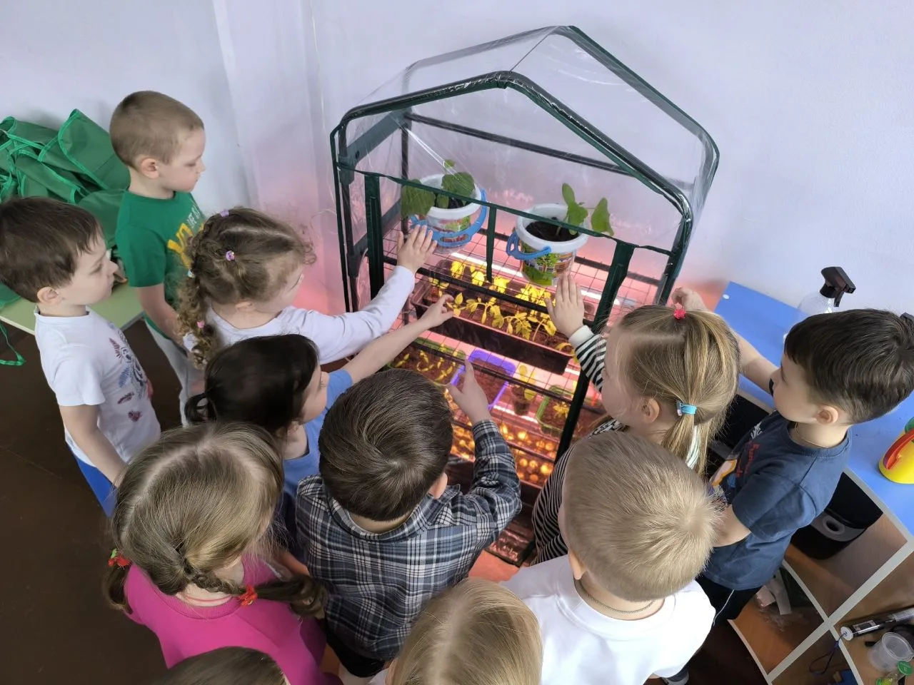 🌱 В средней группе продолжается увлекательная работа по программе АгроМирДетства! 

🏵️ В весенний 