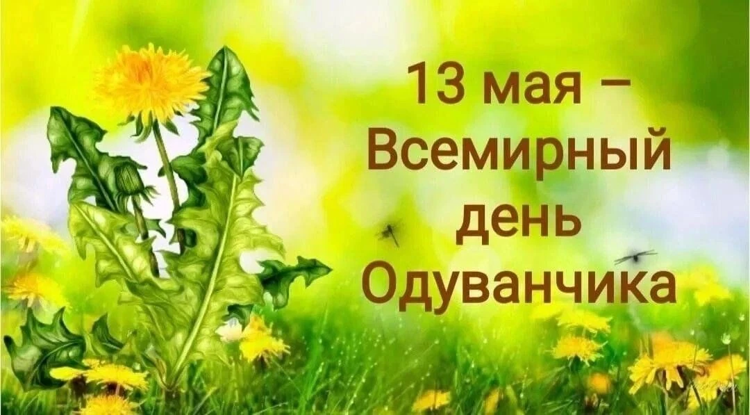 13 мая -  чудесный праздник – День одуванчика!