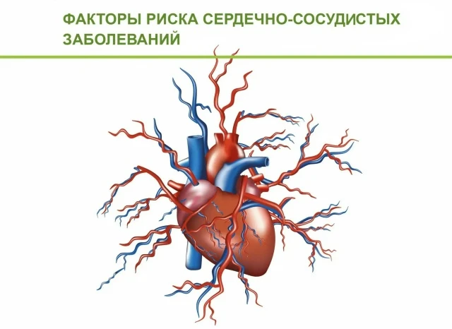 Согласно данным ВОЗ, факторы, влияющие на развитие сердечно-сосудистых заболеваний (ССЗ...