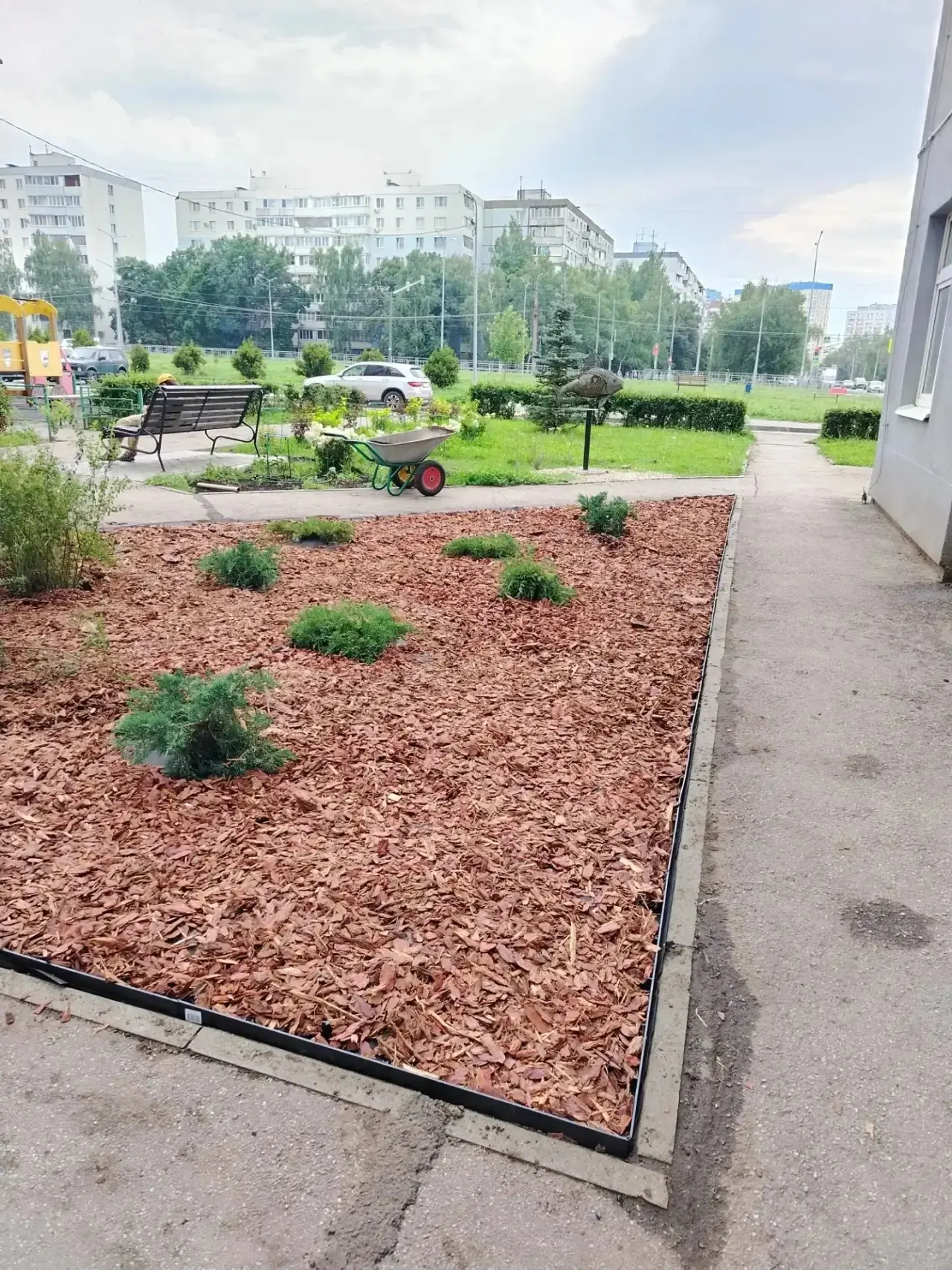 Сегодня в ЖК запахло хвойным лесом 🌲🌲🌲 Попробовали отсыпать один из двух участков с можжевельника