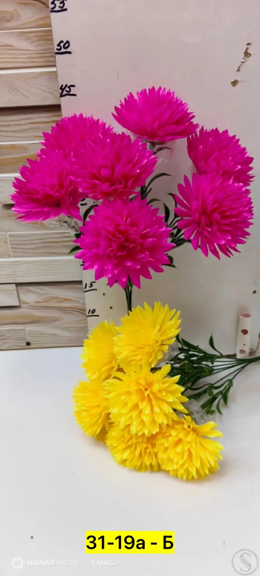 https://vk.com/photo-184814919_493444326