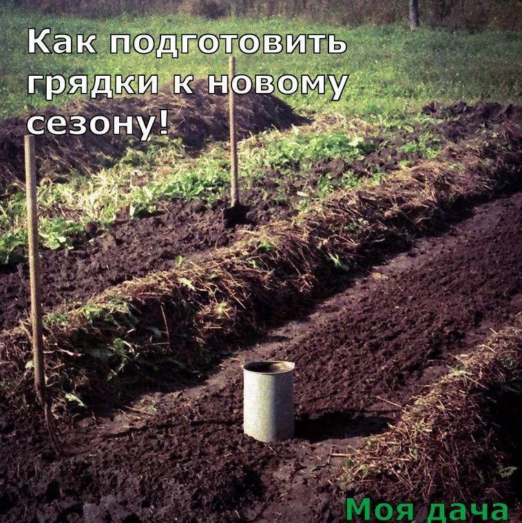 Как подготовить грядки к новому сезону 🤩