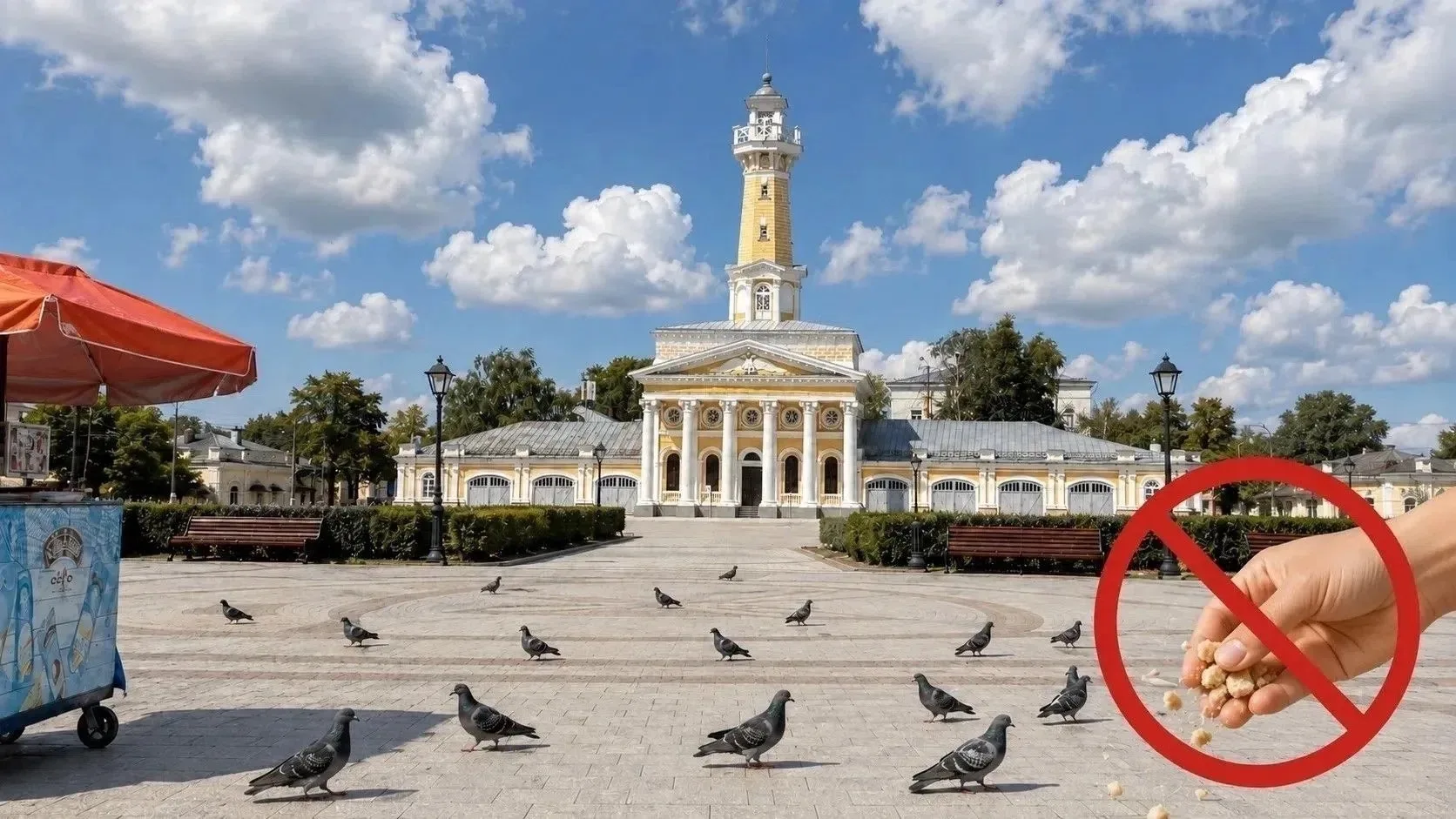 В Костроме могут запретить кормить голубей 

На рассмотрение городской Думы вынесен проект введения 