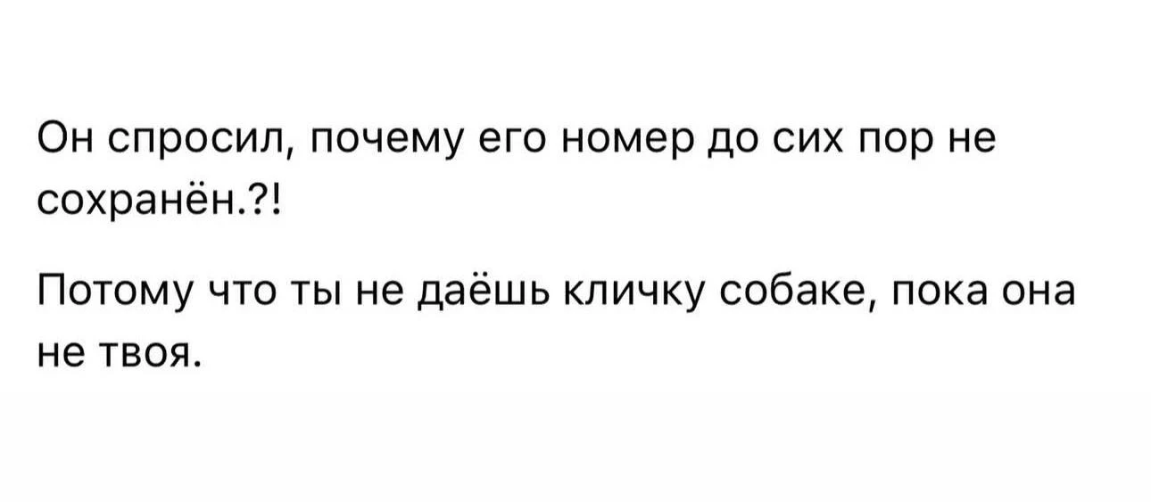 Главное в такой ситуации - не перепутать их всех 🐶