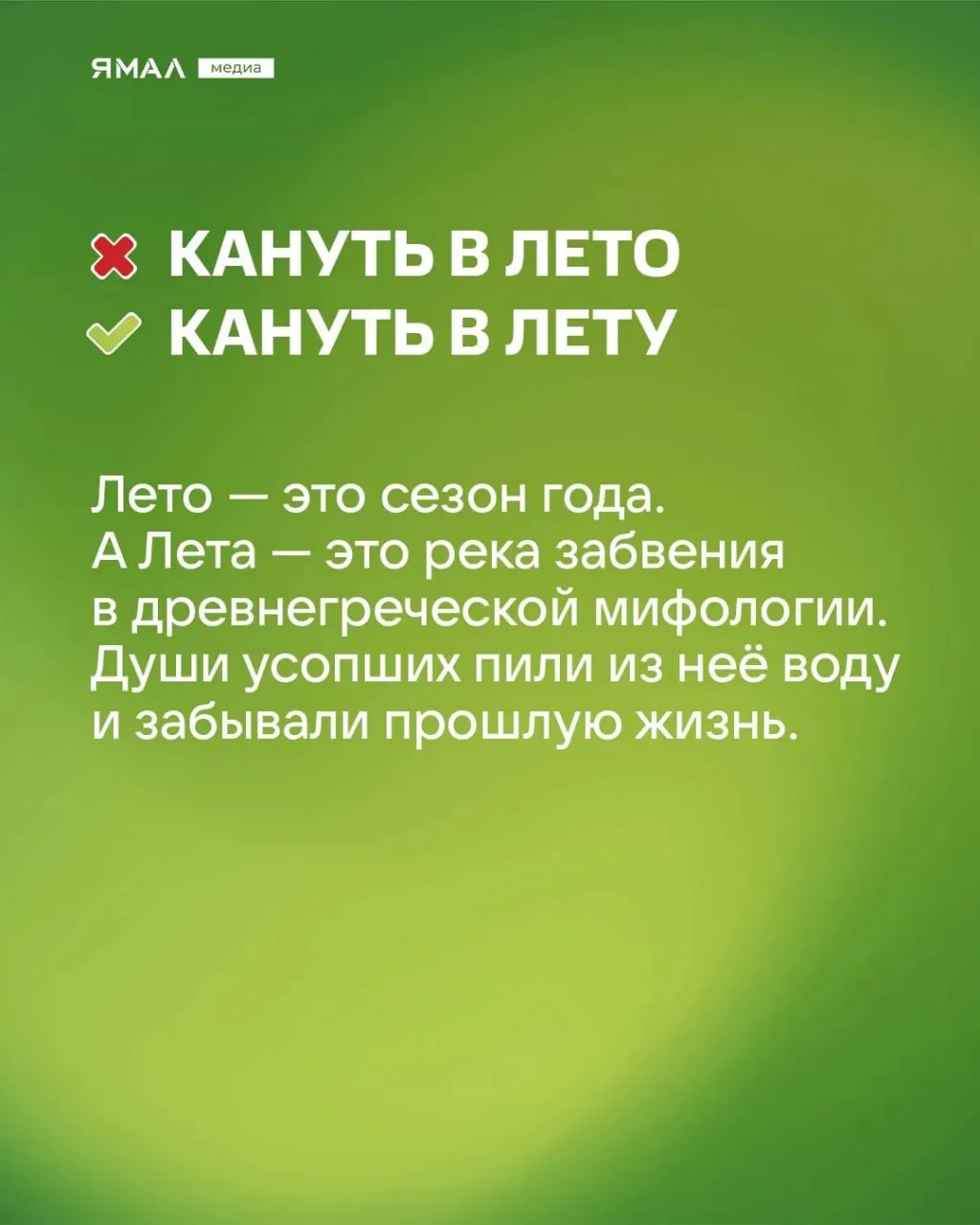 🫣 «Скрипя сердцем, он довёл себя до белого коления…»  Мы знаем, что вы говорите хотя бы одну из этих