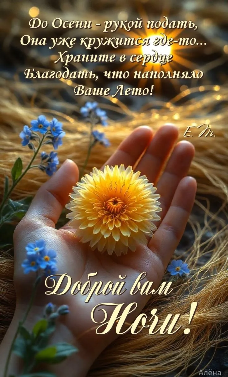 🥰 Оставляйте реакции, если понравилась открытка и делитесь с близкими ❤️