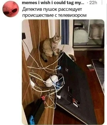 ПЕРВЫЙ МЕМНЫЙ
