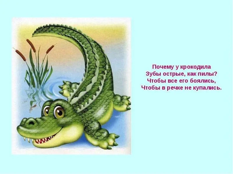 Сегодня, 17 июня, отмечается Всемирный день крокодила! 🐊 
В группе "Крошки", хоть было очень страшн