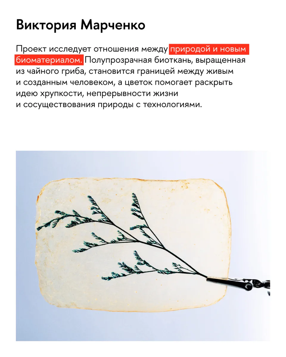 Ещё больше экспериментов с биокожей 📸😔
