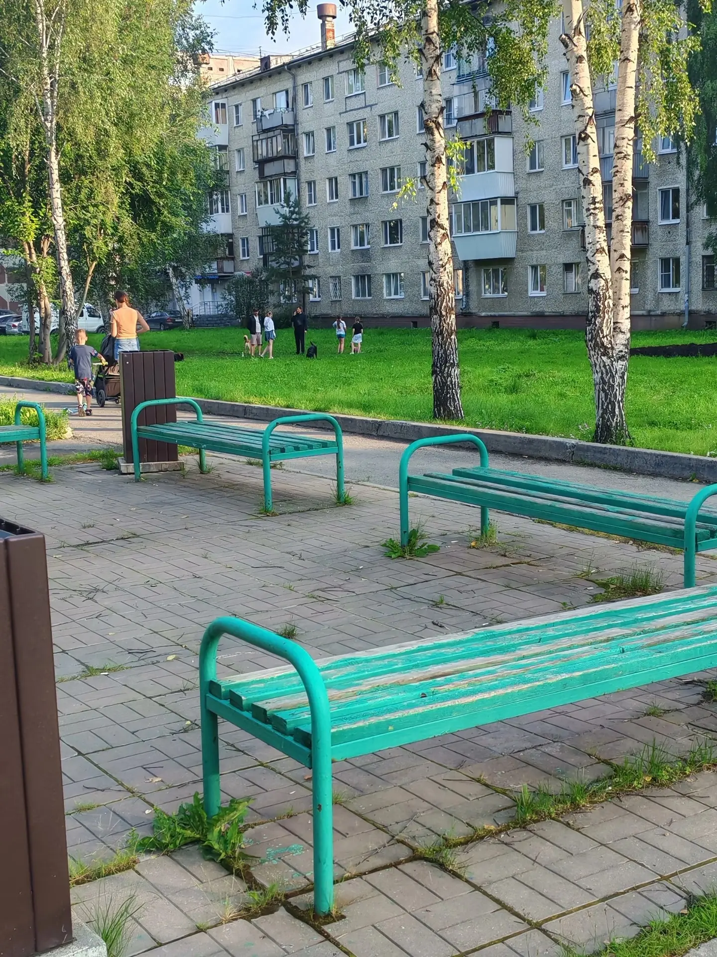 Верхняя Пышма, ул. Успенский проспект 93: были поставлены таблички что с собаками гулять запрещено. 