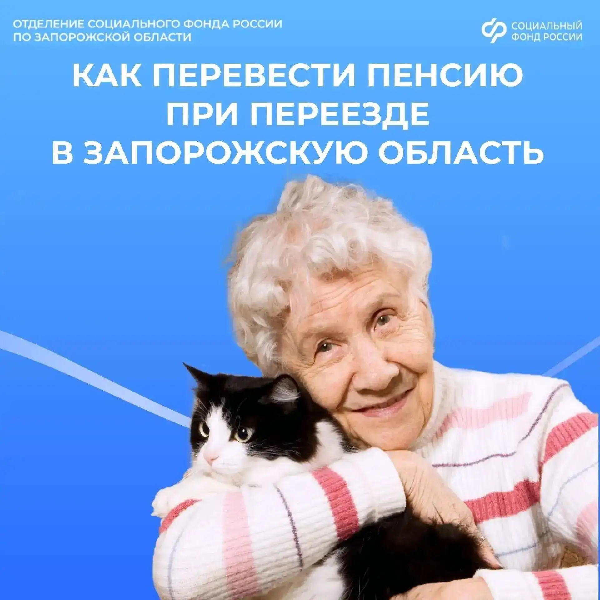 📦 Как перевести пенсию при смене места жительства

👥 В Запорожской области 87 633 пенсионера получ