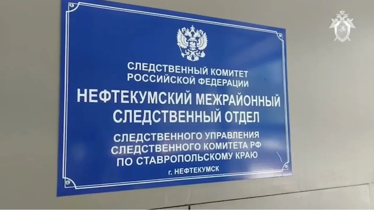 17-летняя жительница Нефтекумского округа ответит перед судом за ложный донос.