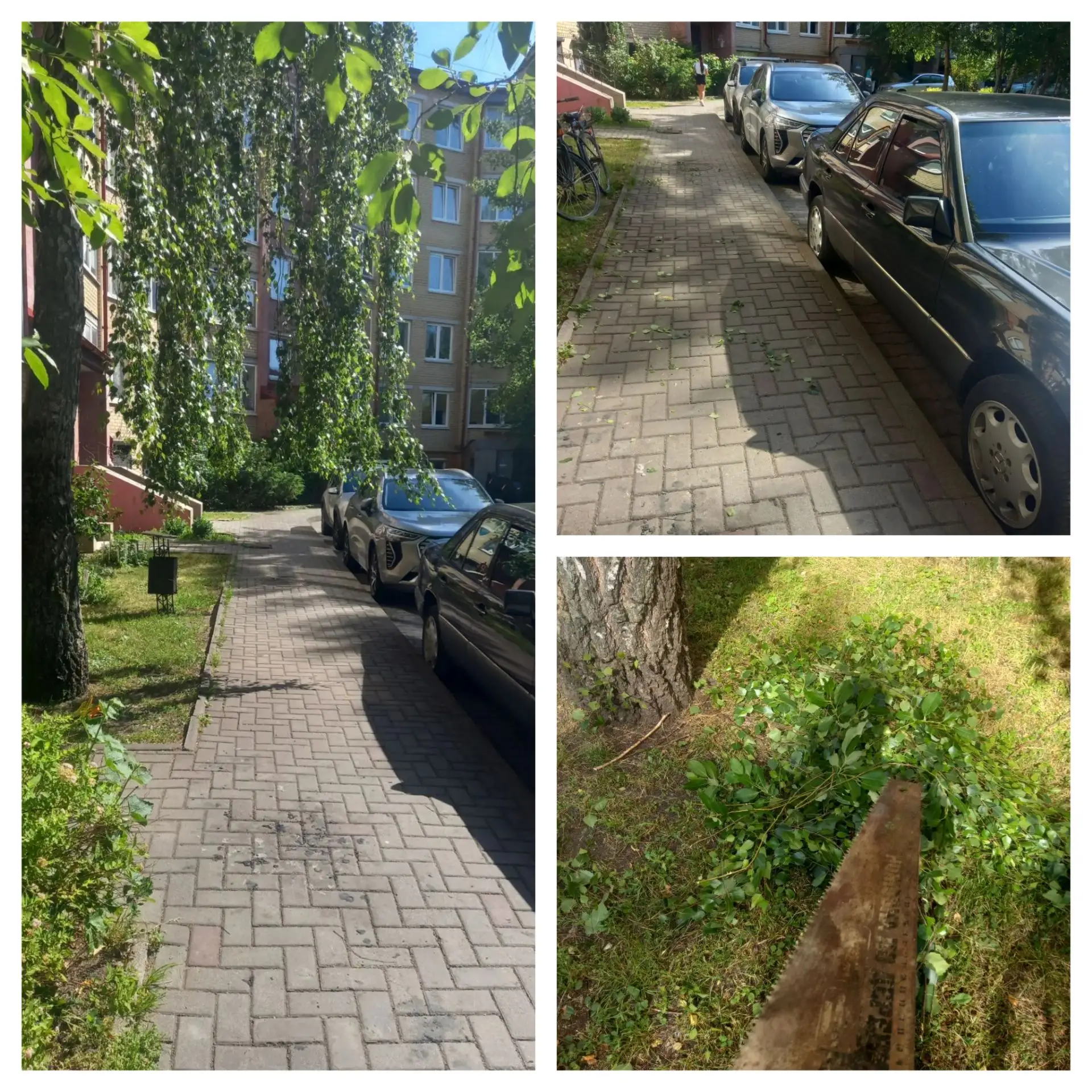 🏢г. Калининград, ул. Аксакова, 102в                                                  ✅...