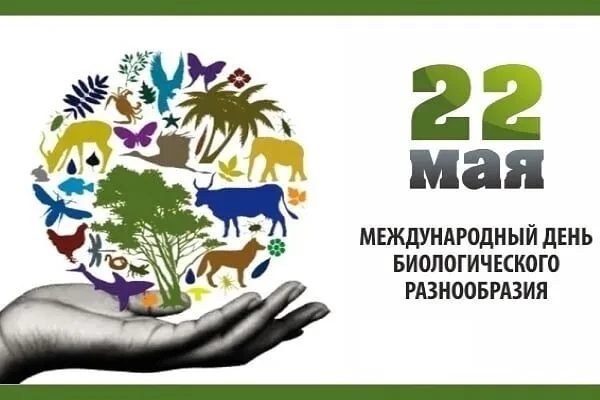 22 мая во всём мире отмечается Международный день биологического разнообразия.