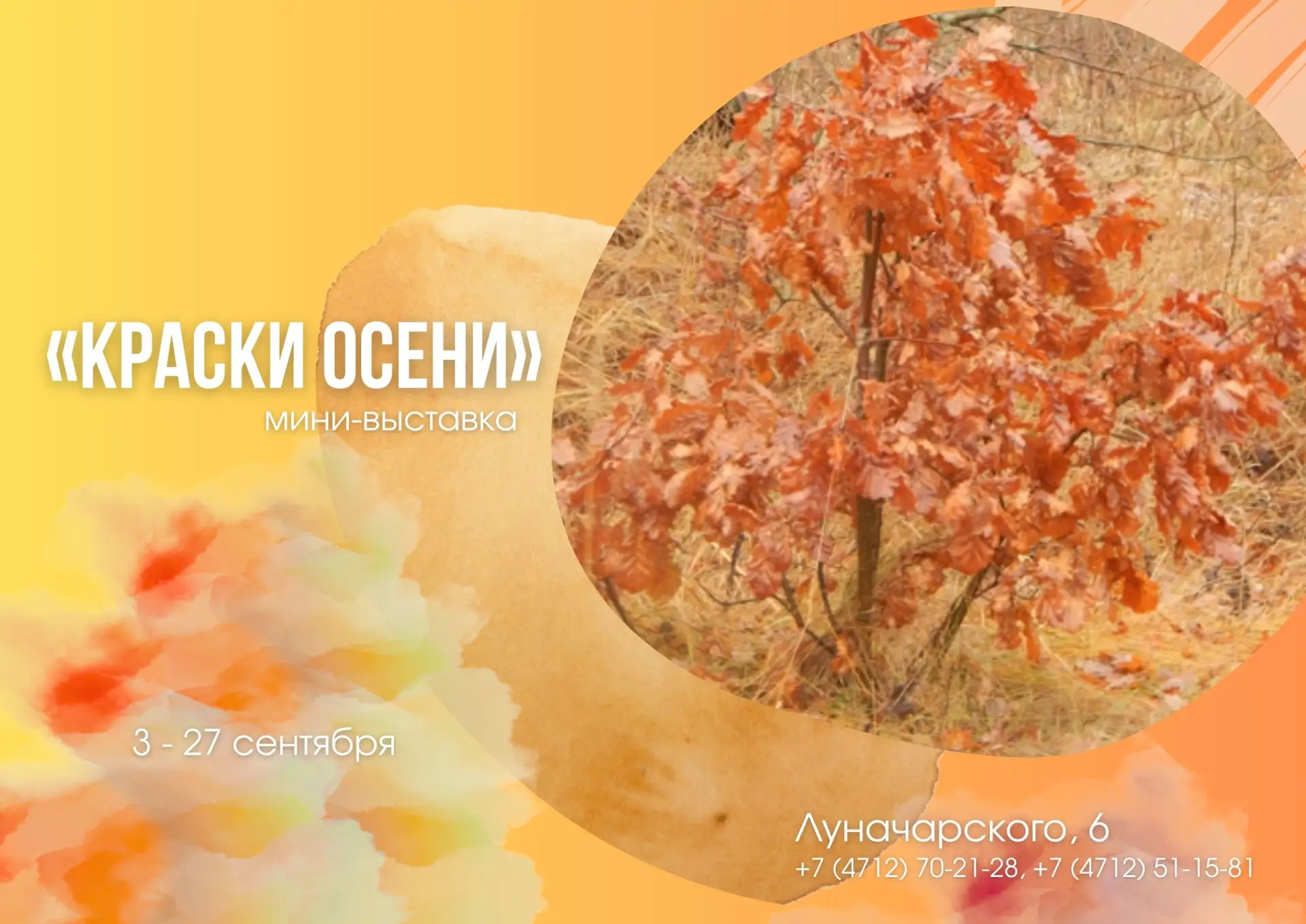 🍂 Осень вступает в свои права. По утрам мы ощущаем прохладу. Деревья вспыхивают золото...