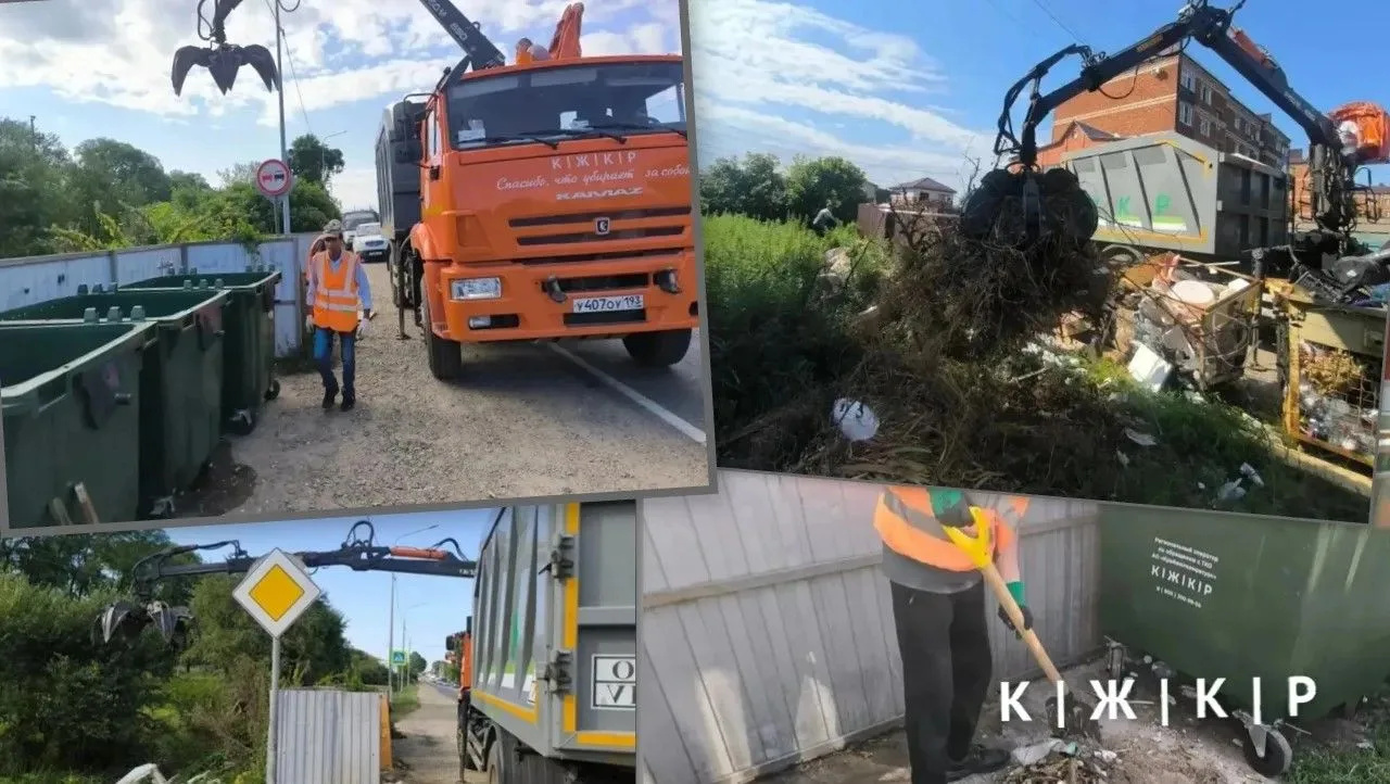 🌳 Чистый город начинается с каждого из нас