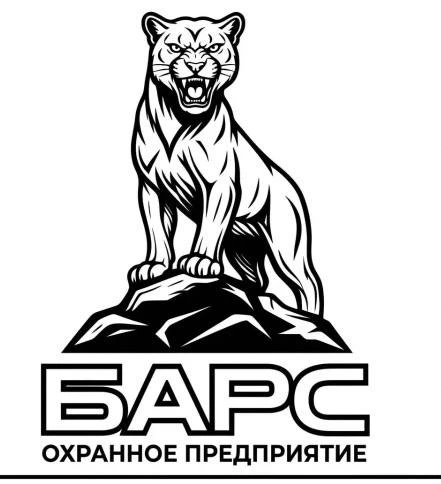 Безопасность под контролем профессионалов: ООО «ОП «БАРС» объявляет о старте… — публикация канала «Севастополь сегодня»
