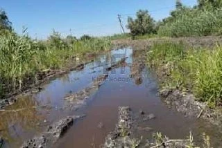 Увязли в грязи и бюрократии: многодетным семьям вместо земли под родовые гнёзда досталось болото!

Ж